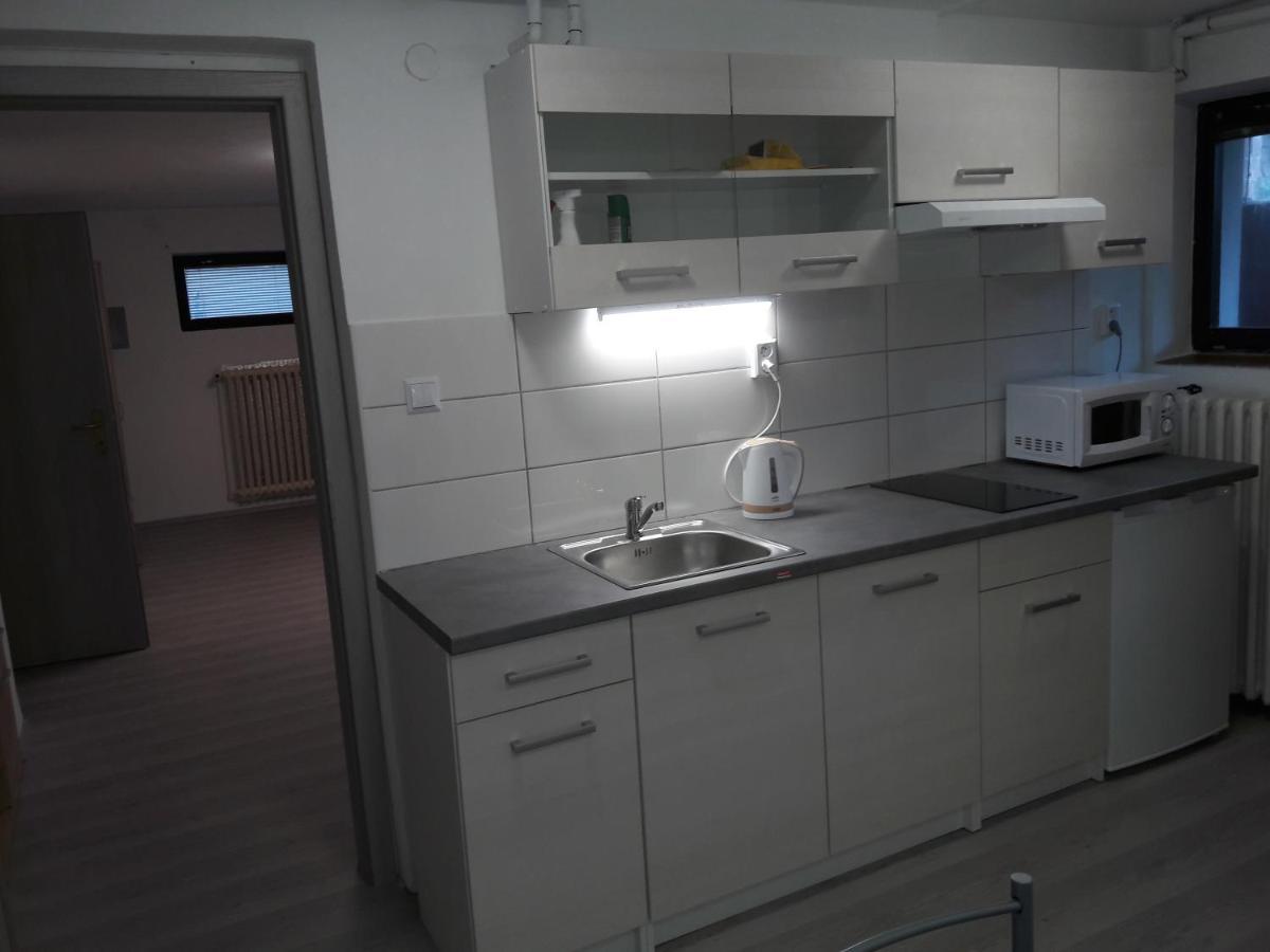פראג Apartman V Podbabe מראה חיצוני תמונה
